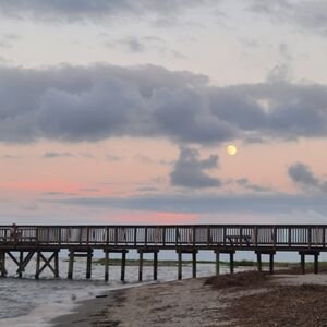 Meet your Posher, Bella